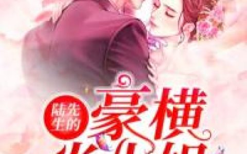 《陆先生的豪横炎小姐》张华达炎景熙全本章节免费在线阅读