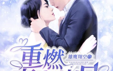 《重燃青春岁月》小说章节目录张小敏,茅智林全文免费阅读