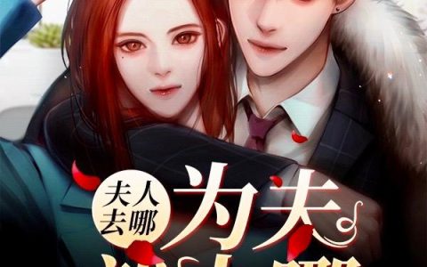 《夫人去哪为夫就去哪》小说章节目录阿奴,张张合合全文免费阅读