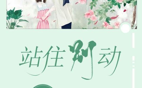 《站住别动》小说章节目录袁纯,袁纯一全文免费阅读