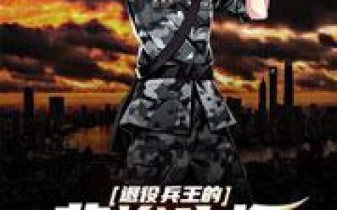 《退役兵王的悲惨生活》小说章节目录徐渭,辛良辰全文免费阅读