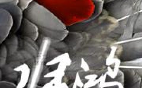 《归鸿》小说章节目录赵国庆,陈天冬全文免费阅读
