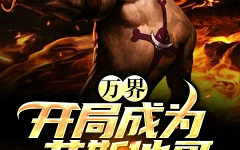 《万界：开局成为艾斯他哥》小说章节目录路飞,艾斯全文免费阅读