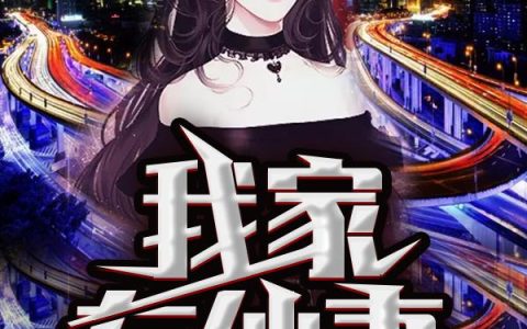 《我家有仙妻》小说章节目录吴迪,齐浩全文免费阅读
