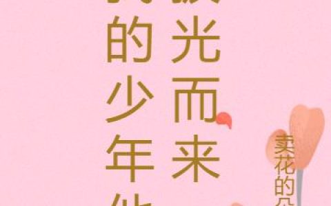 《我的少年他披光而来》小说章节目录全文免费阅读