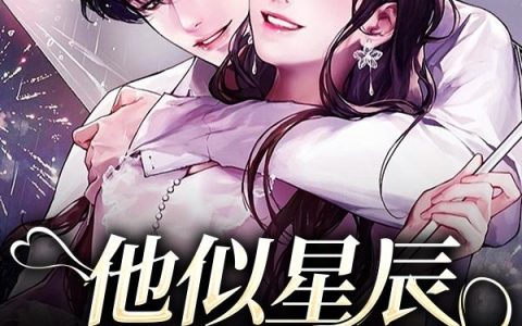 《他似星辰如约而至》小说章节目录林晓,穆晨阳全文免费阅读