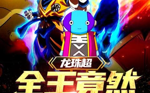 《龙珠超，全王竟然是我儿》小说章节目录叶天,黑悟空全文免费阅读