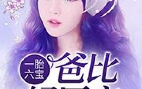 《一胎六宝，爸比好厉害》小说章节目录陶宝,小隽全文免费阅读
