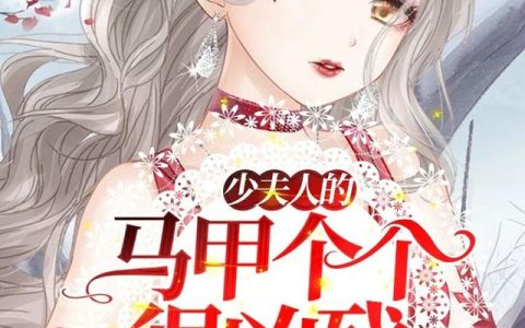 《少夫人的马甲个个很凶残》小说章节目录苏姨全文免费阅读