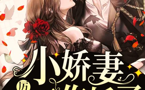 顾安安卢涛《厉爷的小娇妻又作妖了！》小说最新章节免费阅读