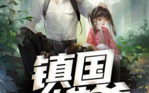 秦枫林夕《镇国雄爸》小说最新章节免费阅读