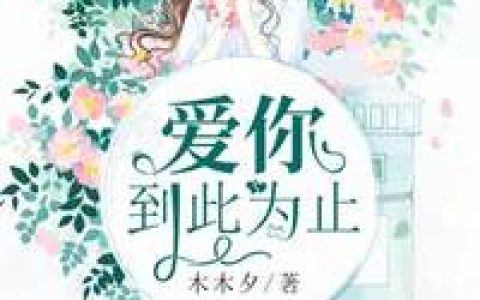 阮暖陆翊《爱你到此为止》小说最新章节免费阅读