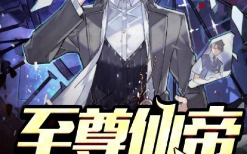 秦易苏沐夏《至尊仙帝在都市》小说最新章节免费阅读