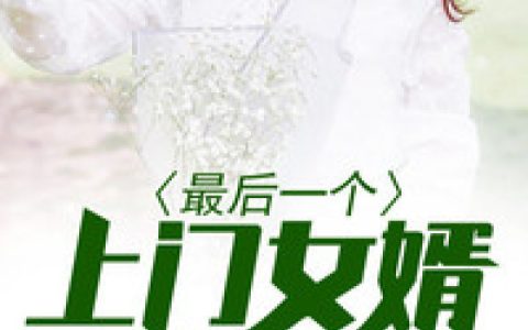 叶天林雪薇《最后一个上门女婿》小说最新章节免费阅读