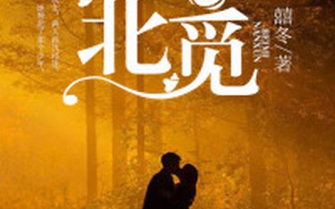 林一老王《南寻北觅》小说最新章节免费阅读