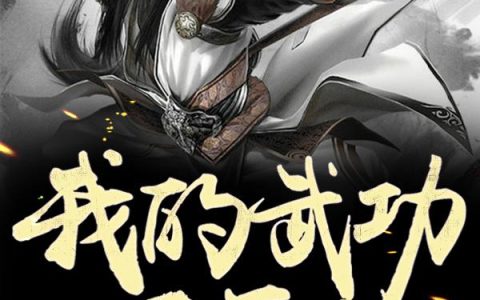 《我的武功不正经》小说章节目录全文免费阅读
