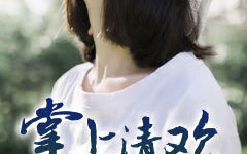 沈念叶秋澜《掌上清欢留不住》小说最新章节免费阅读