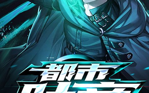 叶枫苏雅竹《都市叶帝（书号：13257）》小说最新章节免费阅读