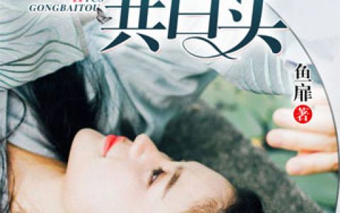 林汐，齐占傲小说全文免费阅读，《何以此生共白头》最新章节