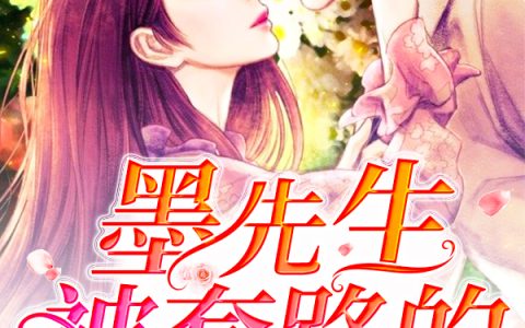 韩若琳，墨冷轩小说全文免费阅读，《墨先生被套路的365天》小说最新章节