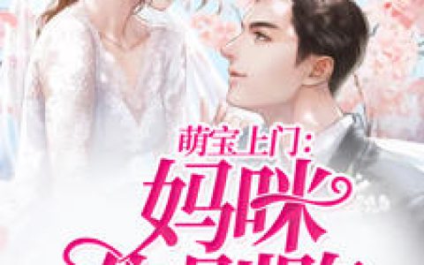 慕洺婳,陆承泽《萌宝上门：妈咪你别跑》小说免费阅读全文，慕洺婳小说最新章节