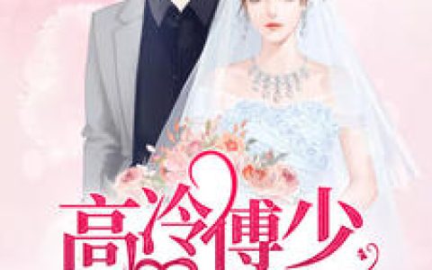 向暖,傅夜寒《高冷傅少呆萌妻》小说免费阅读全文，向暖小说最新章节