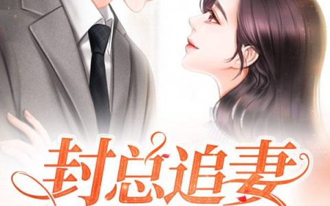 宁婉,封言《封总追妻火葬场》小说最新章节免费阅读