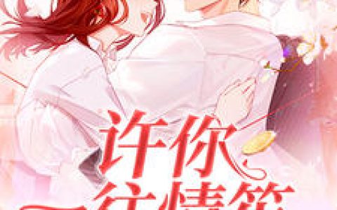小说《许你一往情笙》秦情,陈岩笙完整版免费阅读
