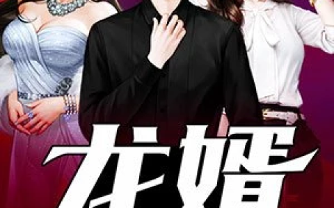 《龙婿：隐世惊龙》鹿有梦小说免费阅读全文，叶辰,陈婉儿小说最新章节