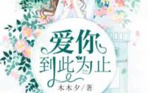 小说《爱你到此为止》阮暖,陆翊申完整版免费阅读