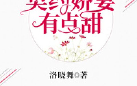 小说顾黎,顾世渊《齐先生，契约娇妻有点甜》在线全文免费阅读