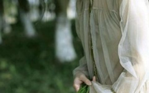 陆岩楠,谈言小说全文免费阅读，《你是相思无尽处》小说最新章节