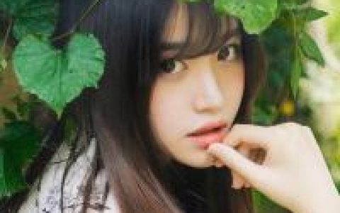 沈箫白,岑苏小说全文免费阅读，《相思了无益》小说最新章节