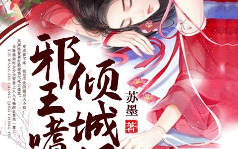 《邪王嗜宠倾城妃》云儿凤离洛小说免费阅读全文