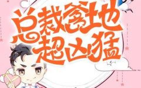唐婉婉,霍思哲《总裁爹地超凶猛》谁家那小谁小说免费阅读全文
