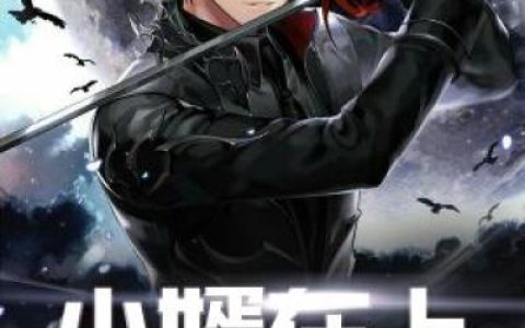 五十二渡《小婿在上》沈闲,黄毛小说免费阅读