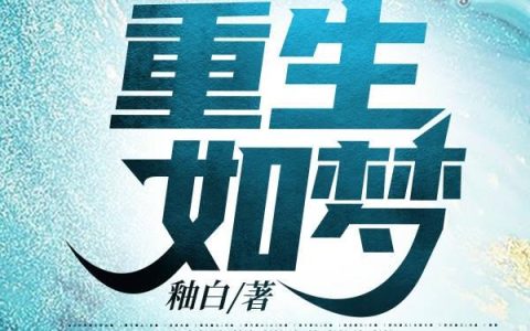 任康,小王《重生如梦》小说全文免费阅读