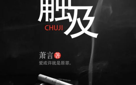 《触及》萧言小说免费阅读全文，萧柠一,徐初小说最新章节