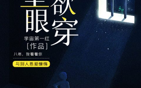 望眼欲穿宋宁昭,陈婉卿，望眼欲穿小说免费阅读