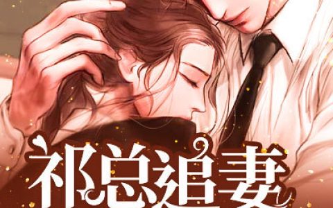 秦悦,祁北伐《祁总追妻太难了》小说全文免费阅读