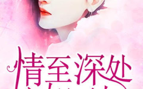 《情至深处，心如死灰》夏芷汐慕厉宸小说免费阅读全文