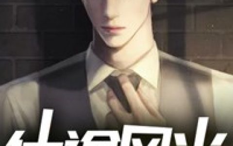 《仕途风光》小说主角王者风邹巧娟全集免费阅读
