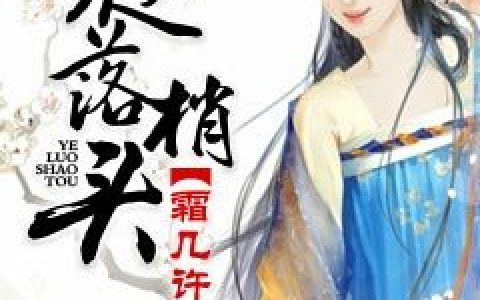 菡黛,风浅《夜落梢头霜几许》四季晨小说免费阅读全文