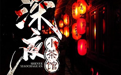 深夜小茶馆孟婉琴,德叔，深夜小茶馆小说免费阅读