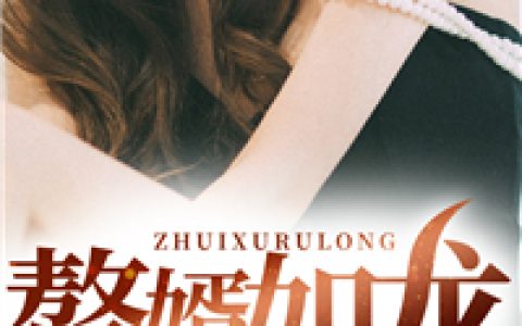 赘婿如龙最新章节,张謇，项穆兰小说免费阅读