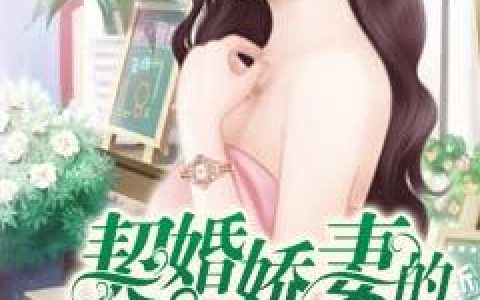 小说《契婚娇妻的蜜宠时光》宁天逸,秦飞扬完整版免费阅读