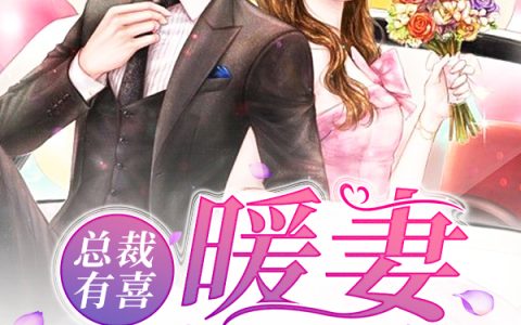陆向恒，宋蓁蓁小说《总裁有喜：暖妻买一送一》全文免费阅读