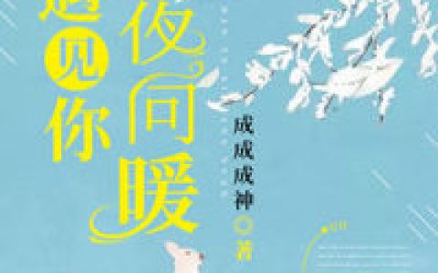 遇见你，寒夜向暖（小白,傅夜寒）最新章节在线免费阅读