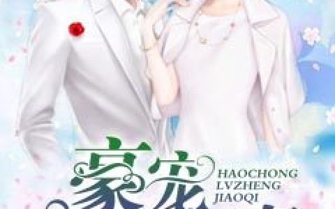 豪宠律政娇妻慕浅,乔薇，豪宠律政娇妻小说免费阅读