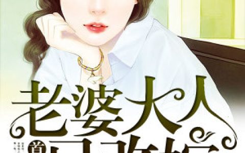 陆泽楷,温素锦小说《老婆大人已改嫁》全文免费阅读
